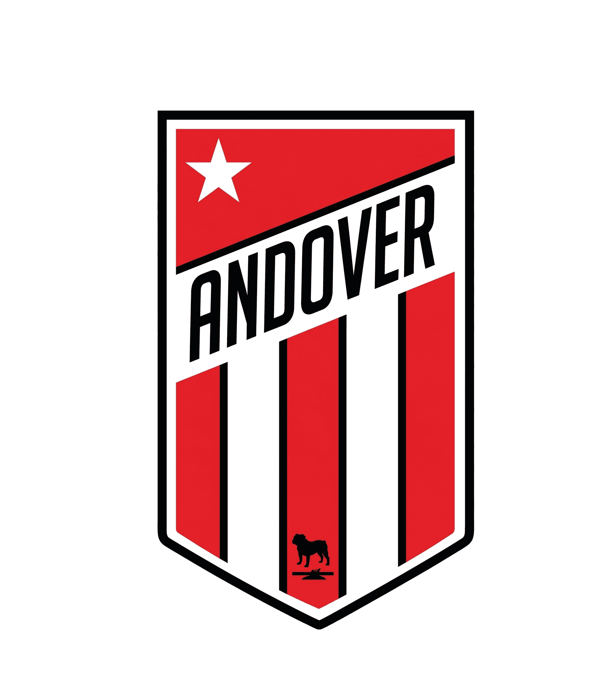 Andover FC crest